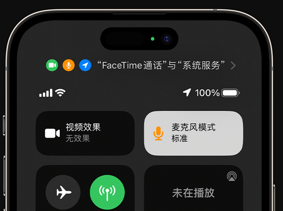 酉阳苹果授权维修网点分享iPhone在通话时让你的声音更清晰 