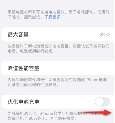 酉阳苹果15维修分享iPhone15充电到80%就充不进电了怎么办 