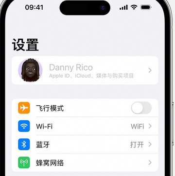 酉阳appleID维修服务iPhone设置中Apple ID显示为灰色无法使用