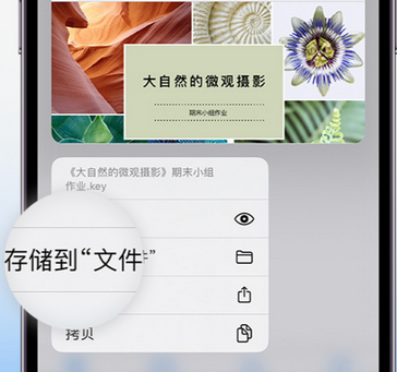 酉阳apple维修中心分享iPhone文件应用中存储和找到下载文件