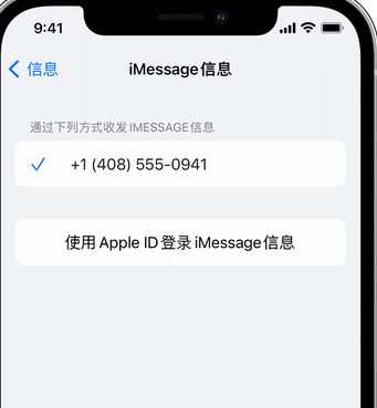 酉阳apple维修iPhone上无法正常发送iMessage信息 