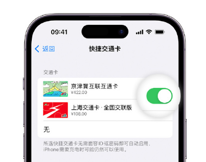 酉阳apple维修点分享iPhone上更换Apple Pay快捷交通卡手绘卡面 