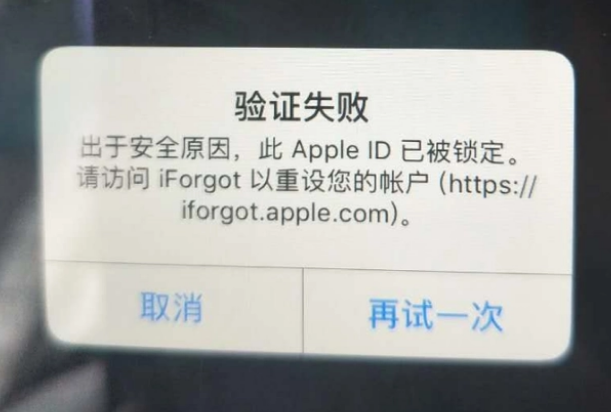 酉阳iPhone维修分享iPhone上正常登录或使用AppleID怎么办 