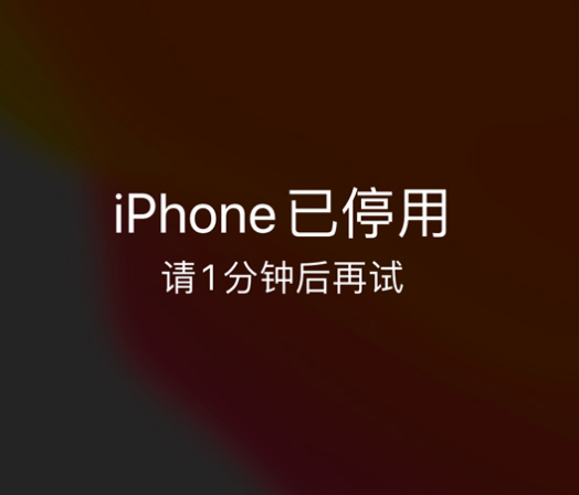 酉阳苹果手机维修分享:iPhone 显示“不可用”或“已停用”怎么办？还能保留数据吗？ 