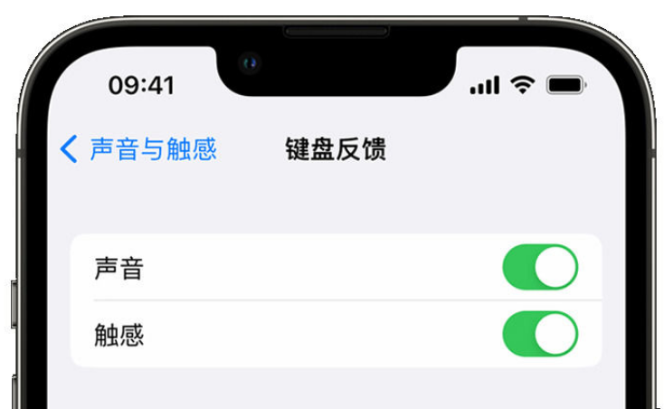 酉阳苹果手机维修分享iPhone 14触感键盘使用方法 