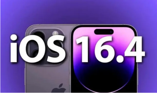 酉阳苹果14维修分享：iPhone14可以升级iOS16.4beta2吗？ 