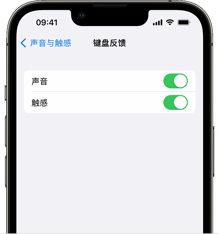 酉阳苹果14维修店分享如何在 iPhone 14 机型中使用触感键盘 