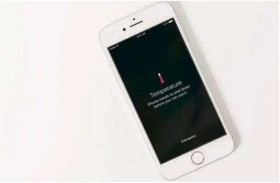 酉阳苹果手机维修分享iPhone 手机发热如何快速降温 