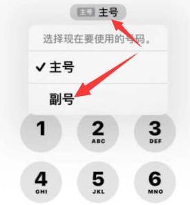 酉阳苹果14维修店分享iPhone 14 Pro Max使用副卡打电话的方法 