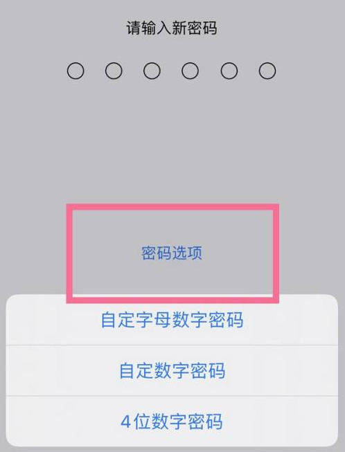 酉阳苹果14维修分享iPhone 14plus设置密码的方法 