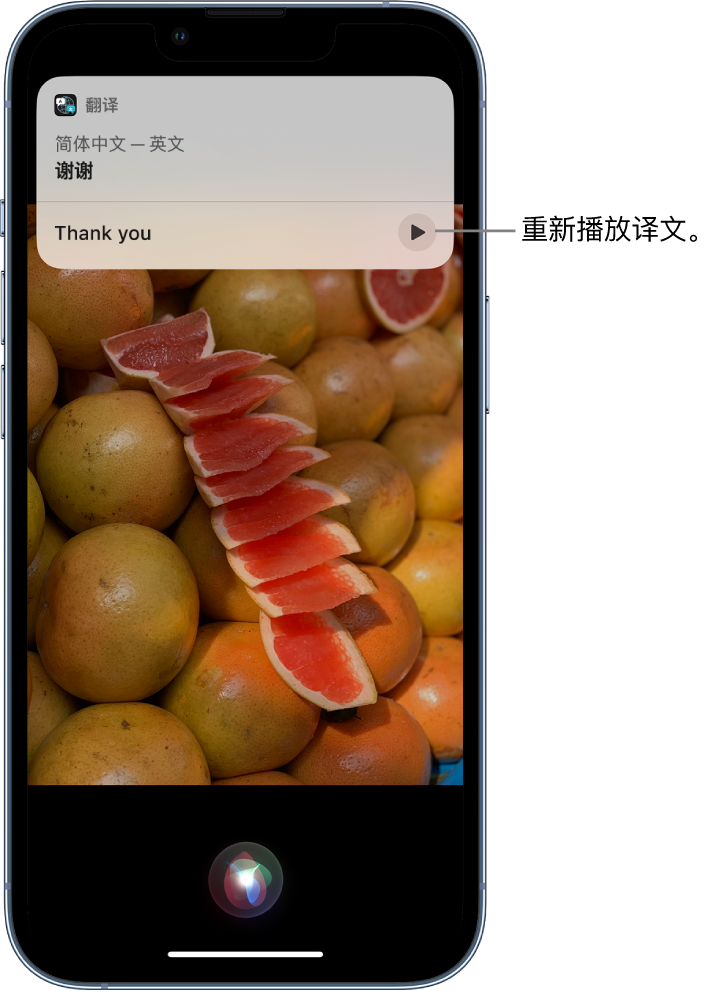 酉阳苹果14维修分享 iPhone 14 机型中使用 Siri：了解 Siri 能帮你做什么 