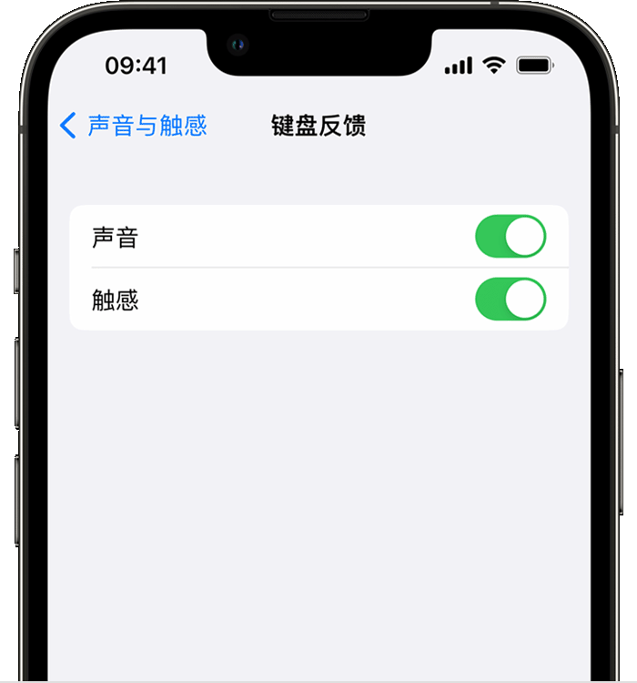 酉阳苹果14维修分享iPhone 14 系列机型如何开启键盘声音或触感反馈 