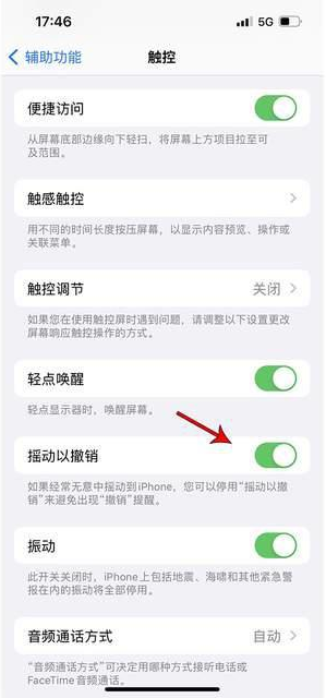 酉阳苹果手机维修分享iPhone手机如何设置摇一摇删除文字 