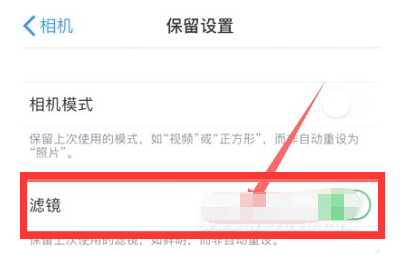 酉阳苹果13维修分享iPhone13拍照有绿点是怎么回事 