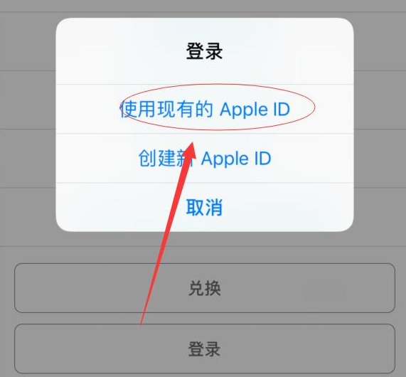 酉阳苹果手机维修分享两台iPhone设备可以同时登录一个Apple ID吗 