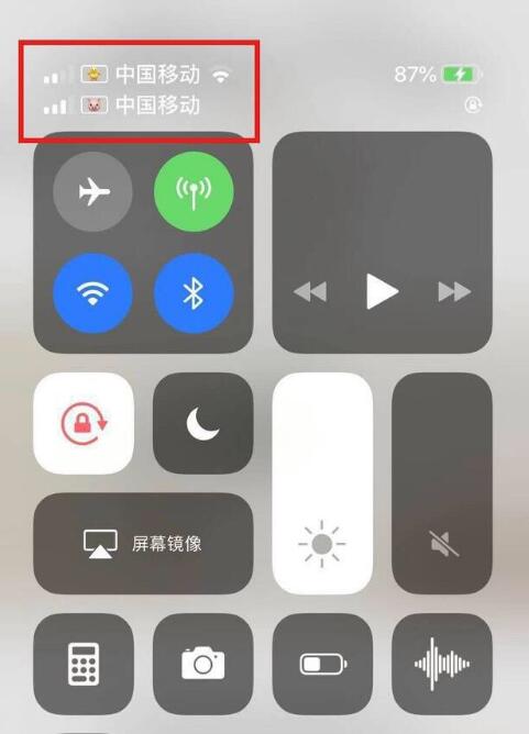 酉阳苹果手机维修分享为 iPhone 12 双卡设置标签 